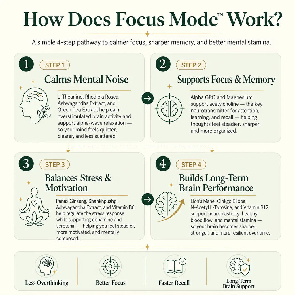 Focus Mode Pro – 14 in 1 Ultra Strength Nootropic | Pack Selection