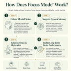 Focus Mode Pro – 14 in 1 Ultra Strength Nootropic | Pack Selection