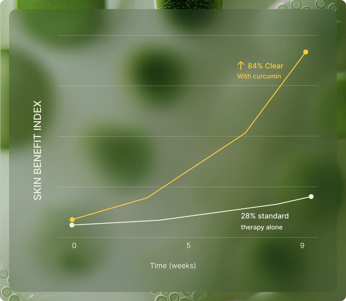 Curcumin