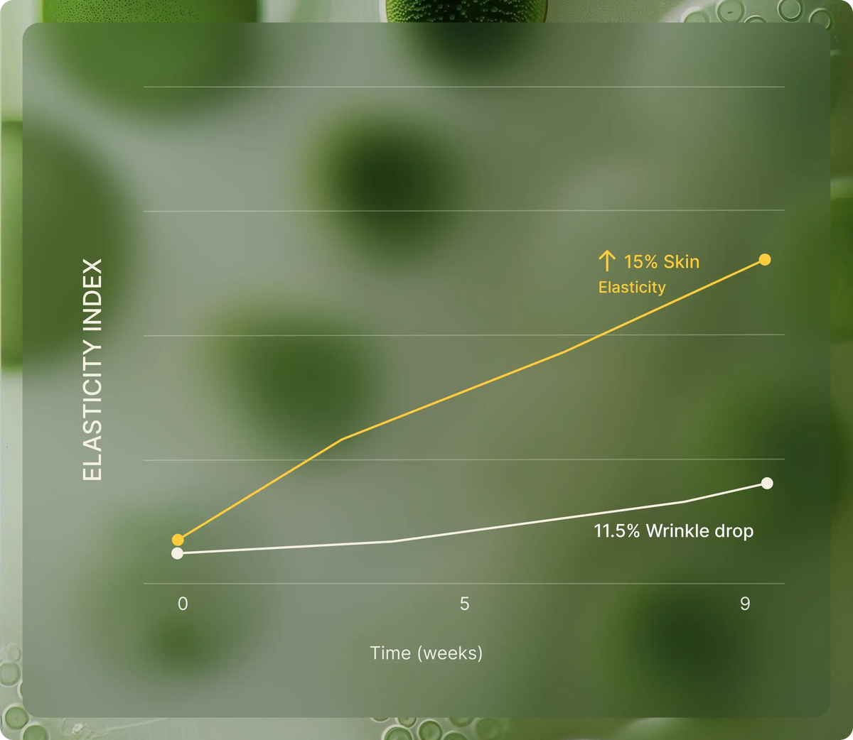 Grape Seed Extract