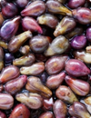 Grape Seed Extract