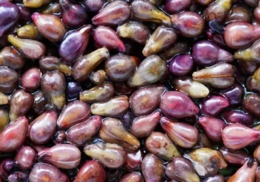 Collagen & grape seed extract