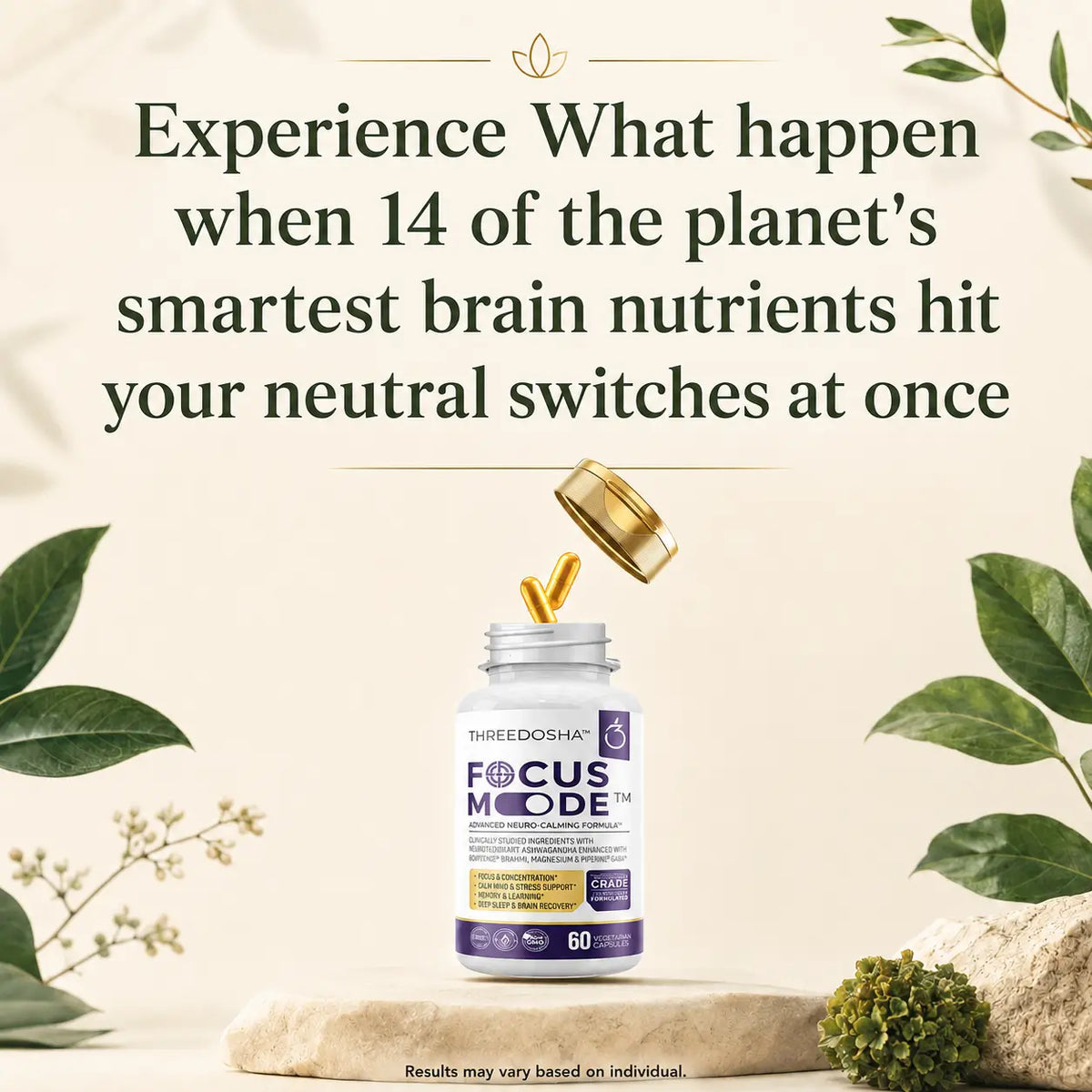 Focus Mode Pro – 14 in 1 Ultra Strength Nootropic | Pack Selection