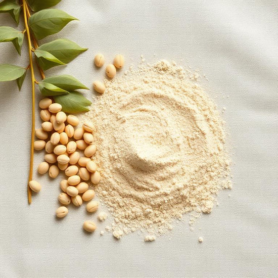 Prebiotic PHGG