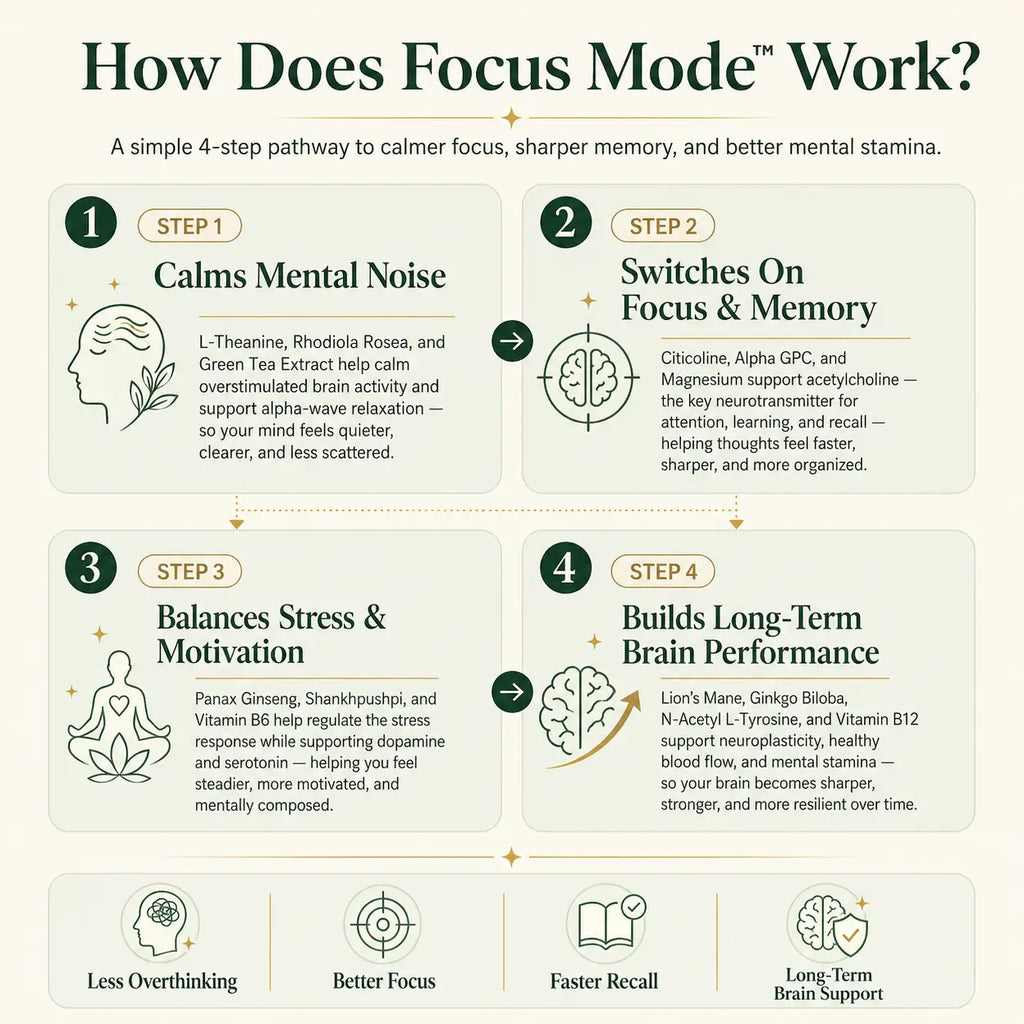 Focus Mode Pro – 14 in 1 Ultra Strength Nootropic | Pack Selection