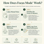 Focus Mode Pro – 14 in 1 Ultra Strength Nootropic | Pack Selection