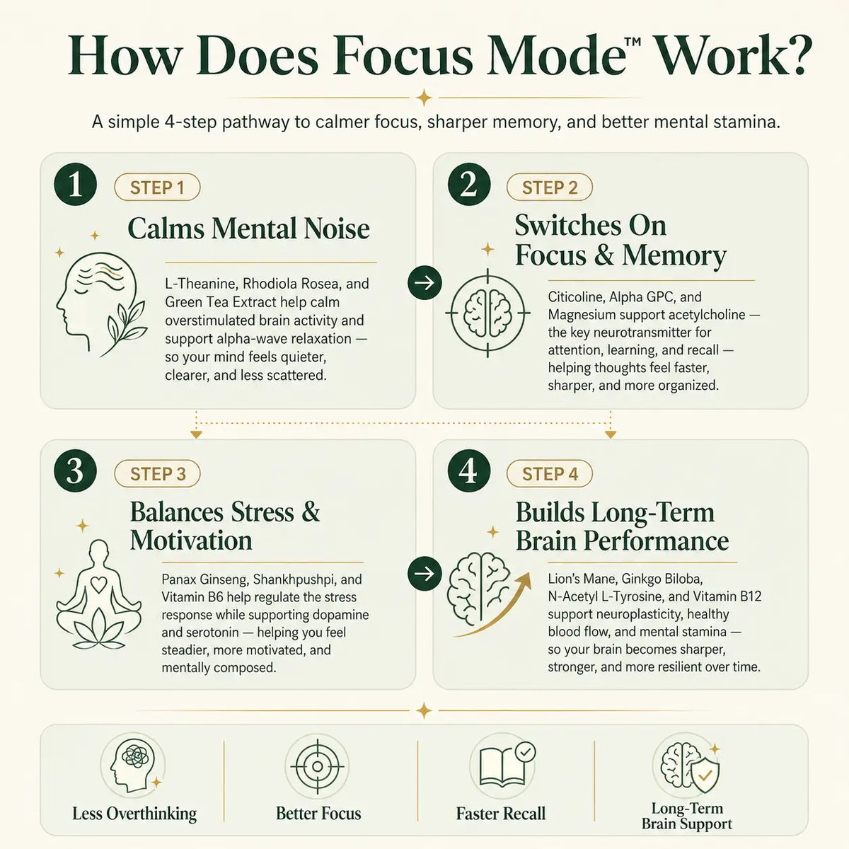 Focus Mode Pro – 14 in 1 Ultra Strength Nootropic | Pack Selection